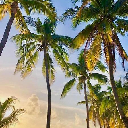 Vc Beach Suites Isla Mujeres Zewnętrze zdjęcie
