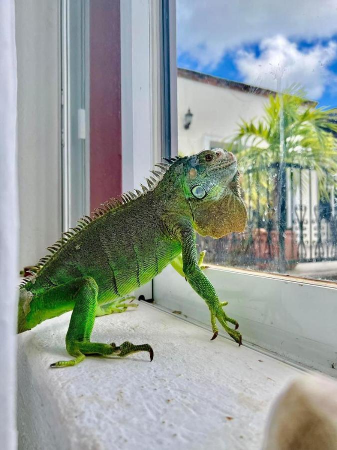 Vc Beach Suites Isla Mujeres Zewnętrze zdjęcie